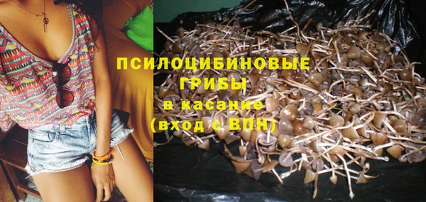 ГАЛЛЮЦИНОГЕННЫЕ ГРИБЫ Вязники