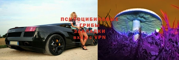тгк Вязьма