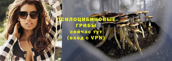 тгк Вязьма