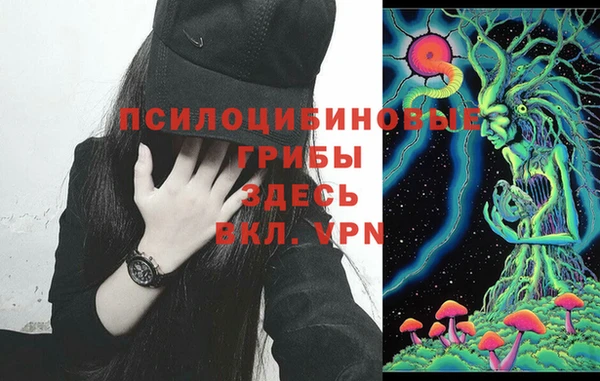 тгк Вязьма