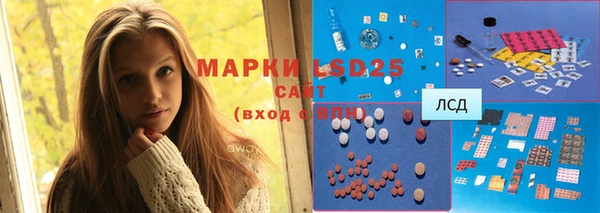 ГАЛЛЮЦИНОГЕННЫЕ ГРИБЫ Вязники