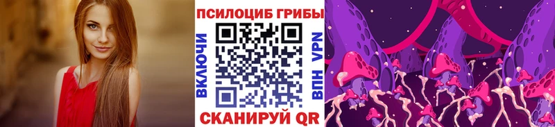 где купить наркоту Макаров Галлюциногенные грибы Psilocybine cubensis